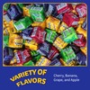 Canel's 4-Piece Gum Pack Jar in Fruit Flavors - Cherry,