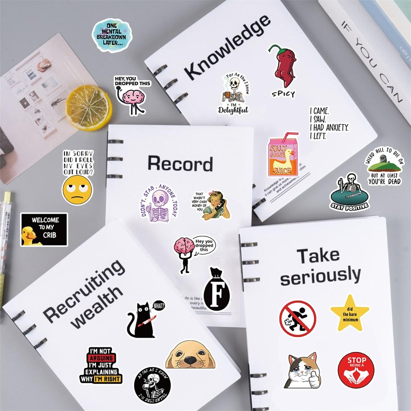 100pcs Funny Stickers for Adults, Prank Meme (Dirty) Hilarious Sticker