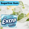 Bitetwist Assorted Sugar Free Mint Gum, Variety pack Of Extra
