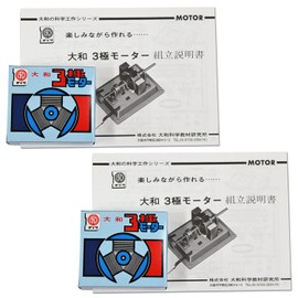 Set of 2 3 Pole Motors, Basic Science Craft Kit for Making Motors and Learning Electric Currents and Electromagnets