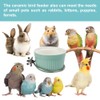 Bird Feeding Cups Parrot Food Cage Bowl Clamp Holder Coop