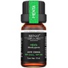 Bienat Aceite Esencial de Menta 10mL Natural Difusor y Aromaterapia