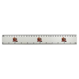 'Orang Utan On Mobility Scooter' 30cm (12 Inch) White Plastic Ruler (RL00087556)