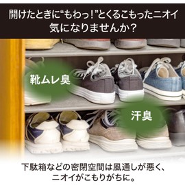 Subdivided for Charcoal Deodorizing Shoe Cupboard