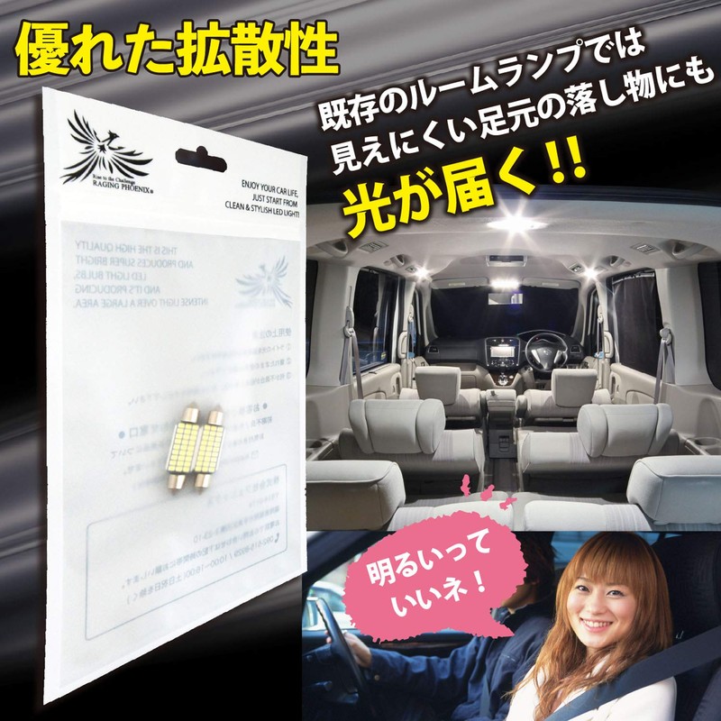 Phoenix Car LED Room Lamp, Set of 2 (White 3014),