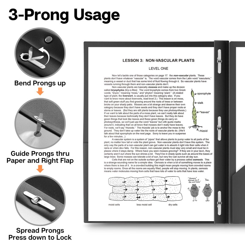 Dunwell Plastic Folders with 3 Prongs, (2 Pack, Black), 2-Pocket