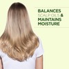 Chi Tea Tree Conditioner, 12 Fl Oz