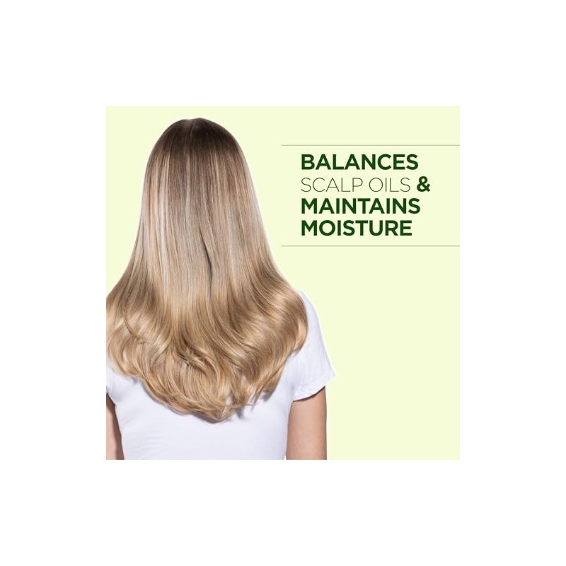 Chi Tea Tree Conditioner, 12 Fl Oz