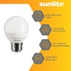 Sunlite G16 LED Dimmable Decorative Globe Vanity Light Bulbs, Frosted,