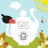 (12 PACK) - Clipper - Organic Chamomile | 20 Bag
