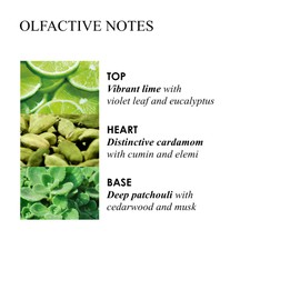 Molton Brown Lime & Patchouli Hand Lotion 300 ml