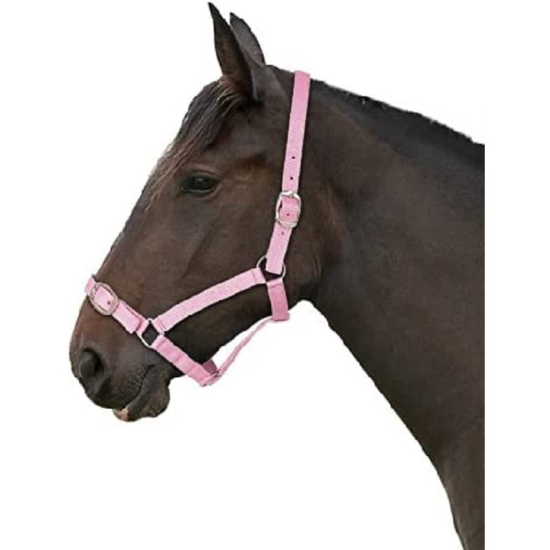 Gallop Basic Nylon Headcollar and Lead Rope Set, Full Size,