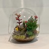 WGV Planter Terrarium, Width 8" Height 8", Clear Round Glass