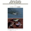 Imakatsu Aventa Crawler RSR #348 Tonneau Frog, 4.5 inches (115