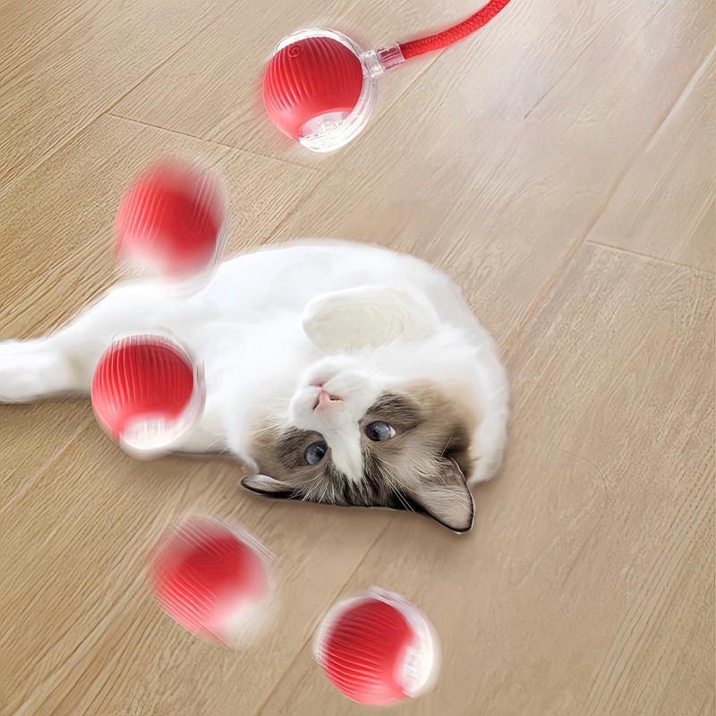 Dog Ball Toy with Rope - Red