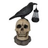 Edgar Corvus Raven Perching On Rose Skull Statue With Solar