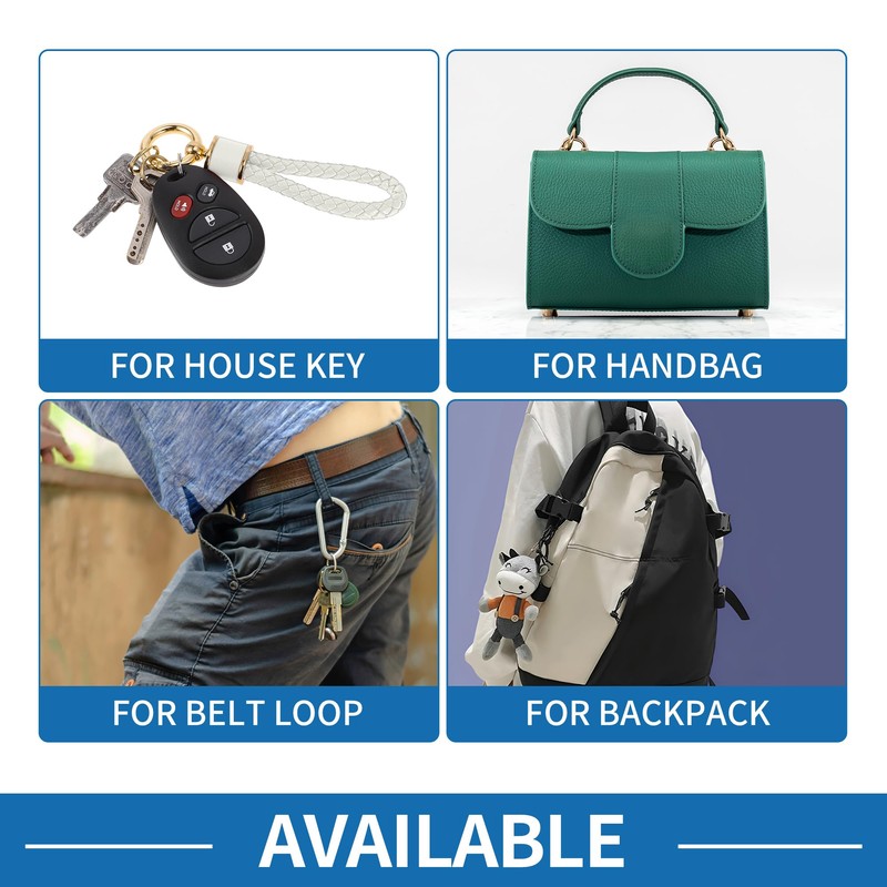 A ABSOPRO Car Keychain Universal Key Chain with Ring for