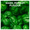 Schwartz Basil 10 G | Jar | Pack of 6