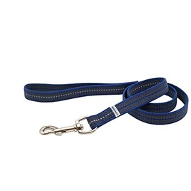Sprenger Correa de Nylon 2 Metros, Azul