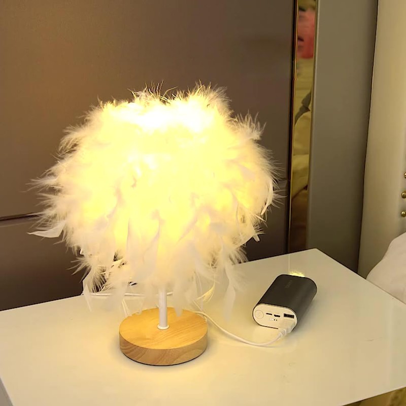 Meichoon Feather Table Lamp USB Plug-in LED Decorative Ambient Night