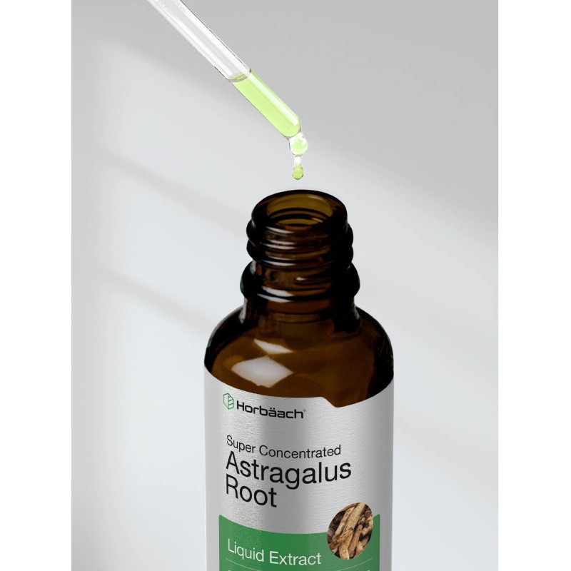 Horbäach Astragalus Root Liquid Extract | 2 oz | Alcohol