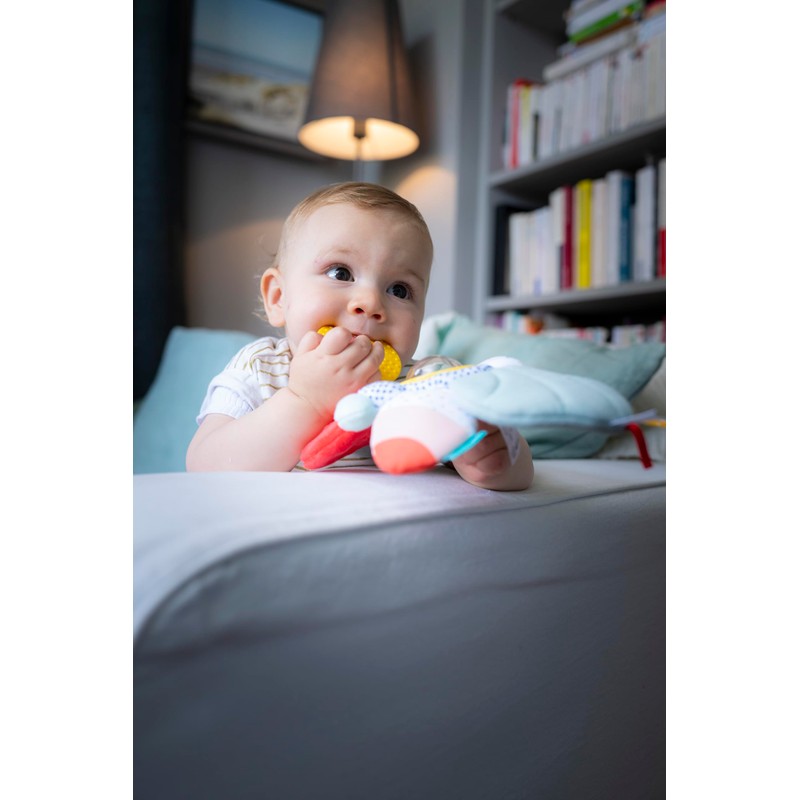 SOPHIE LA GIRAFE My Experience Companion