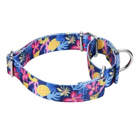 Mikivery Martingale Collar 1 inch Slip On and Off,NO Buckle Gently Tightens Medium and Large Collars
