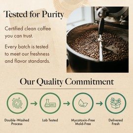 RAHM ROAST Mold-Free Organic Coffee, Whole Bean Medium Roast, Lab-Tested Mycotoxin-Free, Low Acid Guatemalan Specialty Coffee for Purity, 12oz Bag