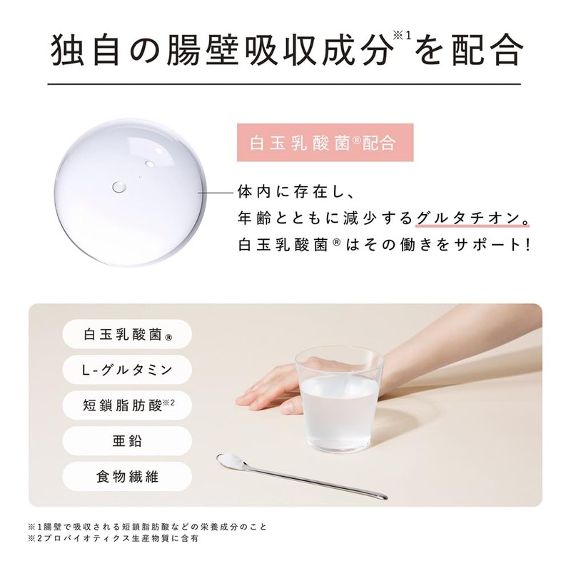 ドクターズナチュラルレシピ 美容乳酸菌サプリメント 14包 粉末 個包装 28種・520億個の乳酸菌