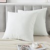 RICHAIR Pillow Protectors 60 x 60 cm, Set of 2,