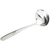 Villeroy & Boch 1264031760 Sauce Ladle, Stainless_Steel, 18.2 cm