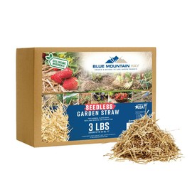 Blue Mountain Hay | Organic Seedless Garden Straw (3 lb) | Natural Mulch for Gardening, Flower Beds, Yard Landscaping, New Lawn Grass Seeding, Composting | Covers up to 30 sq ft