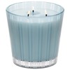 NEST New York Driftwood & Chamomile Scented 3-Wick Candle