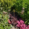 1.35m Cat & Mouse Rusty Tom Jerry Spinner - Brown