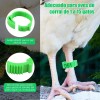 300 Bandas Identificación De Pollo Ajustables Con Numerados