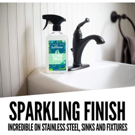 Aunt Fannie's All Purpose Cleaning Vinegar 16.9 Ounces, Multipurpose Surface Spray Cleaner (Eucalyptus)