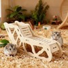 Noaxylic Versatile Scaletta per Criceti, Casetta per Criceti in Legno