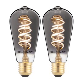 SHUWDKAR 12V Edison Bulb Low Voltage Warm White 2700K E26 Base, DC/AC 12V 24V 36V LED Light Bulbs 40W Equivalent Smoky Grey Glass for RV Camper, 2 Pack