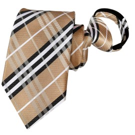 BESMODZ Men's Zipper Ties for Men Pretied Tie Silk Necktie Formal Neck Ties (Brown Black 1)