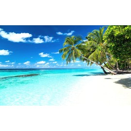 Reyhui Palm Tree Wall Mural Tropic Paradise Beach Seascape Murals Wallpaper for Walls Bedroom Living Room Bedroom TV Background Kids Room Decoration（Not Peel and Stick）