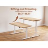 BANTI 55'' Standing Desk, Electric Stand up Height Adjustable Home