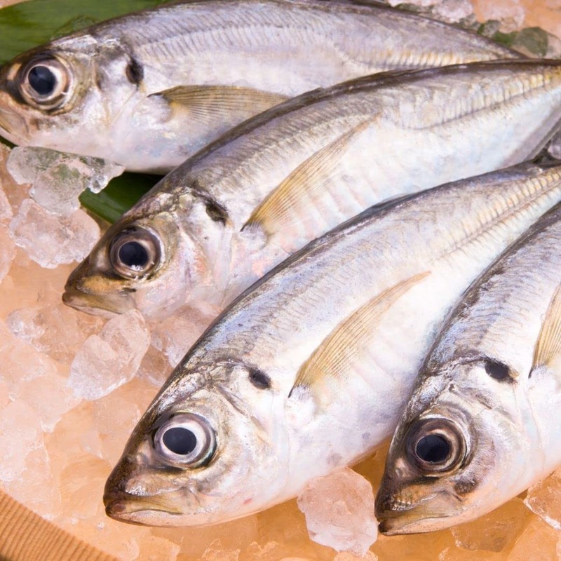 Unica Sgombro al Naturale Filetti - 425 g Proteico