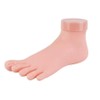 [SS62] Model foot for nail art practice / [에스에스62]네일아트 연습용 네일용발 모형발