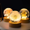DESHINTKE Dandelion Glowing Crystal Ball Eternal Flower Paperweight