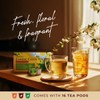 Gya Tea Co Jasmine Tea Pod (16 ct) - Mildly