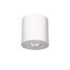 Licht-Erlebnisse Modern Ceiling Spotlight White Metal GU10 Round Diameter 13