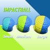 HoldOneLight Portable Golf Swing Trainer Ball, Posture & Motion Correction