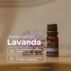 Aceite Esencial de Lavanda 100% Puro | 10 ml |