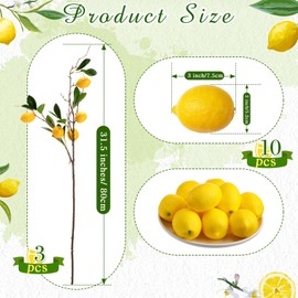 Maysing 13 Pcs Faux Lemon Decoration Set Includes 3 Pcs 31.5 Inch Artificial Lemons Branch 10 Pcs 3 x 2 Inch Faux Yellow Lemons Fake Lemons Branch Fruit Decor for Home Photography Props Kitchen Party