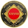 Simply Minimal 28 Year NA Gold Color Plated-Medallion, Recovery Chip,